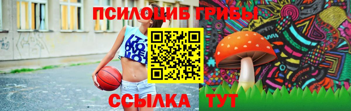 Псилоцибиновые грибы мухоморы  где купить наркоту  Удомля  Галлюциногенные грибы Magic Shrooms  Вход с VPN 